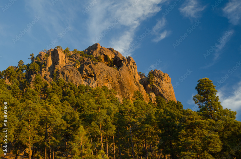 Morro de Pajonales. Pajonales. Integral Natural Reserve of Inagua. Gran Canaria. Canary Islands. Spain.