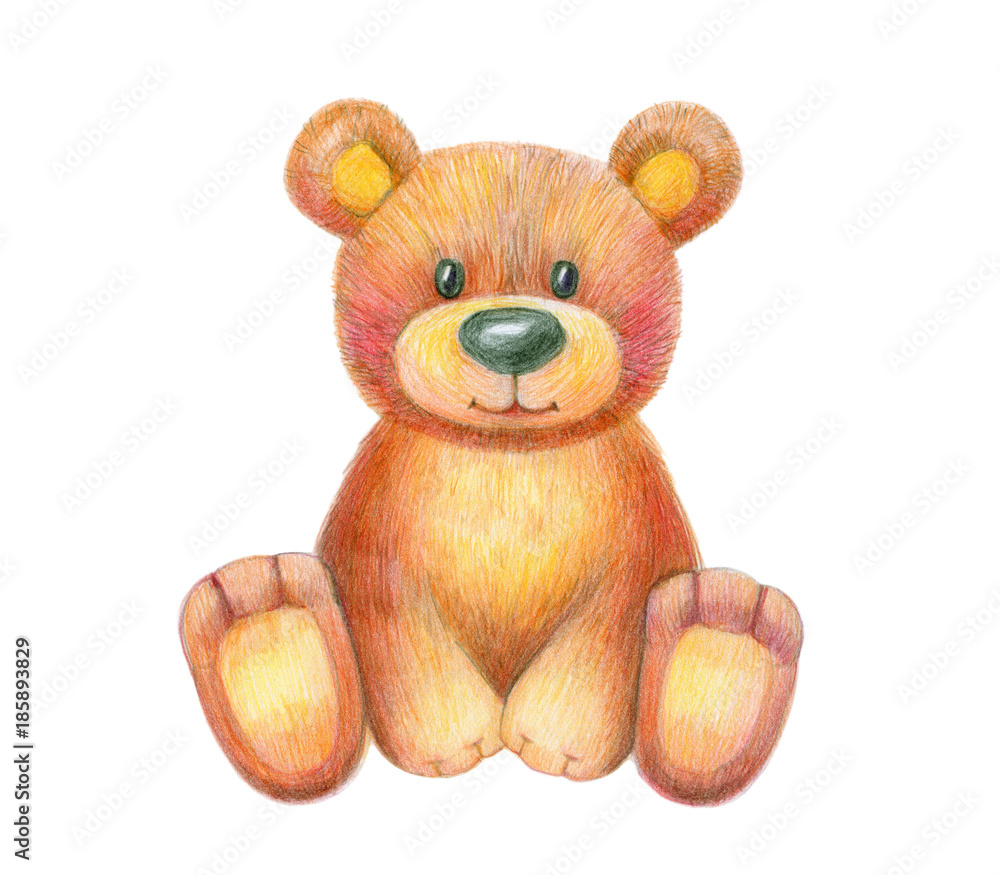 Fototapeta premium Cute sitting baby bear isolated, hand drawing.