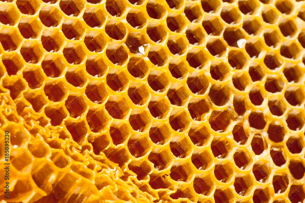 Close up studio shot of fresh organic honey - healthy food Close up studio shot of fresh organic honey - healthy food