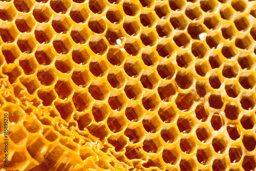 Close up studio shot of fresh organic honey - healthy food