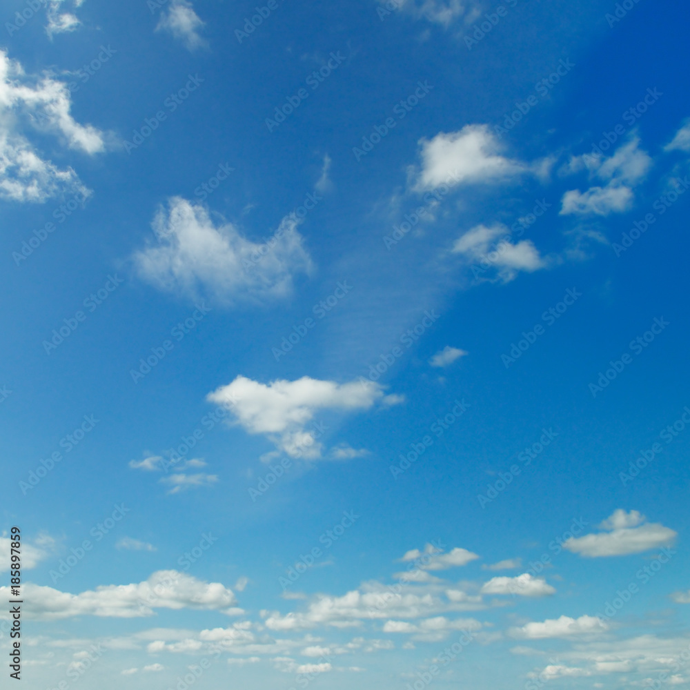 light clouds in the blue sky light clouds in the blue sky