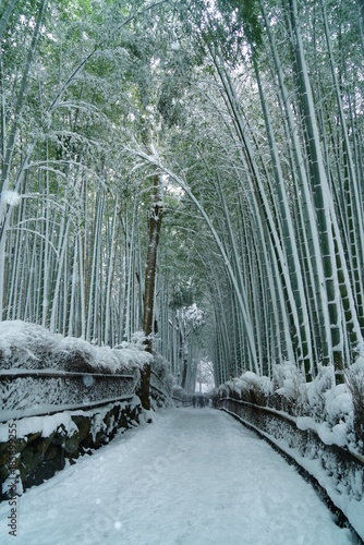 京都嵐山竹林の雪景色	