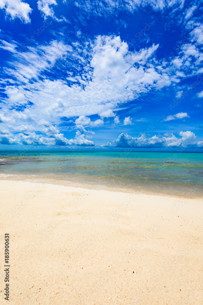 magical paradise beach of the Caribbean sea magical paradise beach of the Caribbean sea