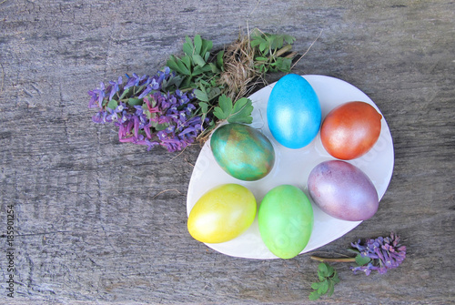 Multi-colored eggs on a plate and a bunch of Corydalis on the background of an old tree. Easter composition with eggs and purple snowdrops, top view.