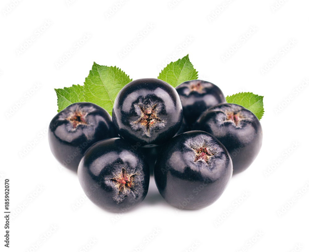 Chokeberry with leaves isolated on white background. Black aronia berries. Chokeberry with leaves isolated on white background. Black aronia berries.