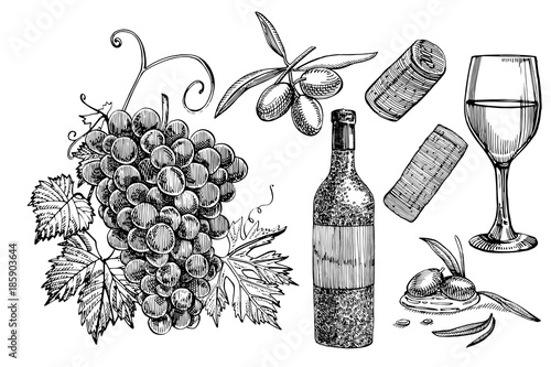 Vector set of vine products. Illustration in sketch style. Hand drawn design elements. Isolated on white background. Engraving style illustrations.