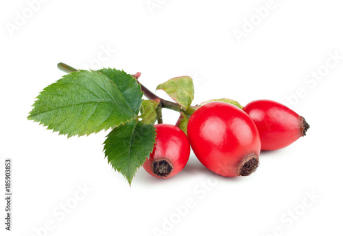 Rose-hips with leaves isolated on white background photo