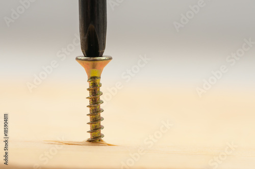 Wood screw in pine board, screwdriver close up shot isolated on white background.