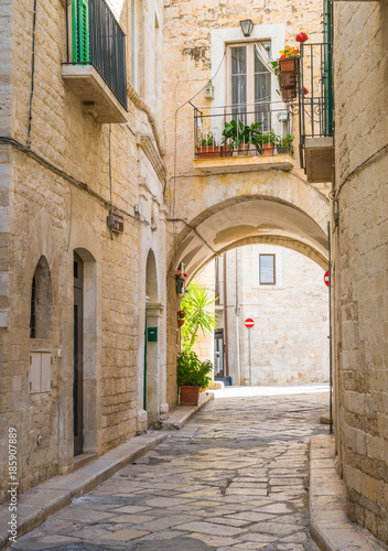 Fototapeta Naklejka Na Ścianę i Meble -  Scenic sight in Giovinazzo, province of Bari, Puglia, southern Italy.