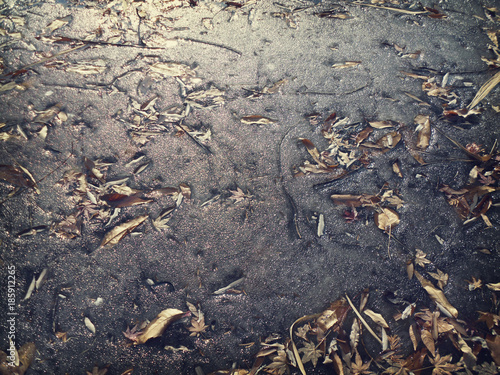 Wallpaper Mural A frozen lake. / Winter background. Torontodigital.ca