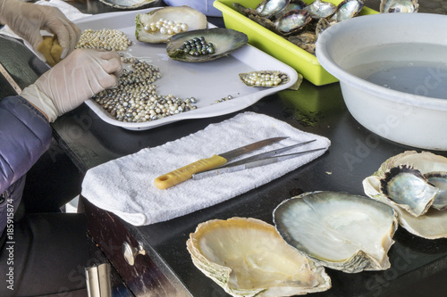 cultured pearls Vietnam