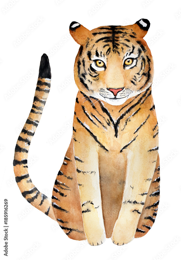 Biro-pen & Watercolour Tiger Drawing : r/drawing