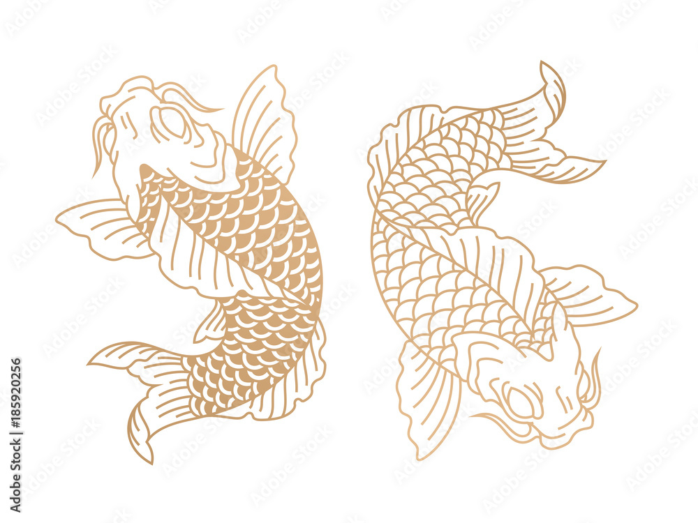 Fototapeta premium Koi fish. Japanese carp fish. Vector illustration