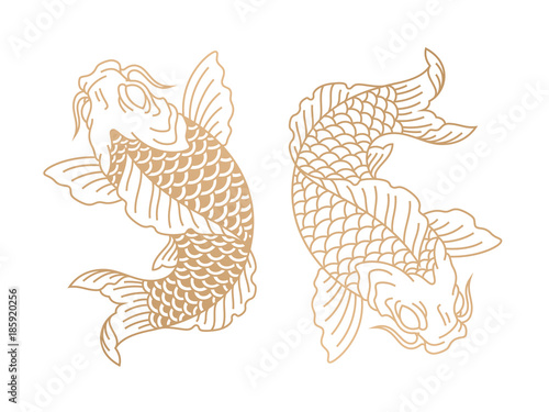 Koi fish. Japanese carp fish. Vector illustration