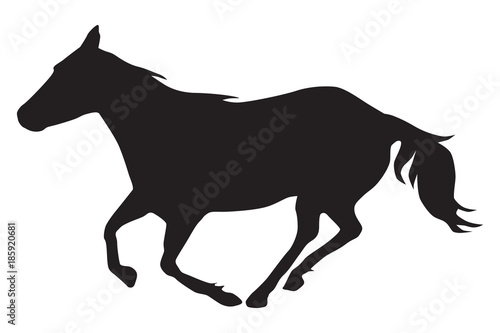 A horse is running in silhouette