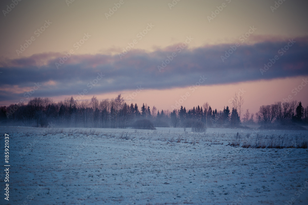 Countryside in winter, snow on the fields, trees on horizont, red sky in sunrise.