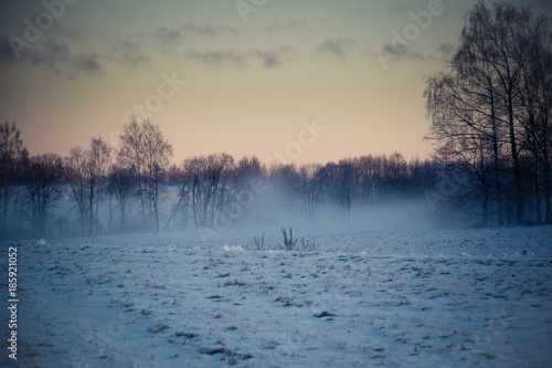 Countryside in winter, snow on the fields, trees on horizont, red sky in sunrise.