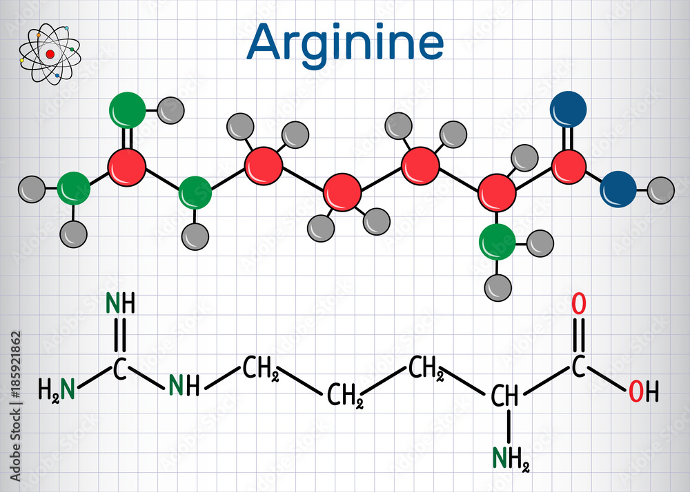 Arginine (Arg, R) amino acid molecule, it is used in the biosynthesis of proteins . Structural chemical formula and molecule model. Sheet of paper in a cage Arginine (Arg, R) amino acid molecule, it is used in the biosynthesis of proteins . Structural chemical formula and molecule model. Sheet of paper in a cage