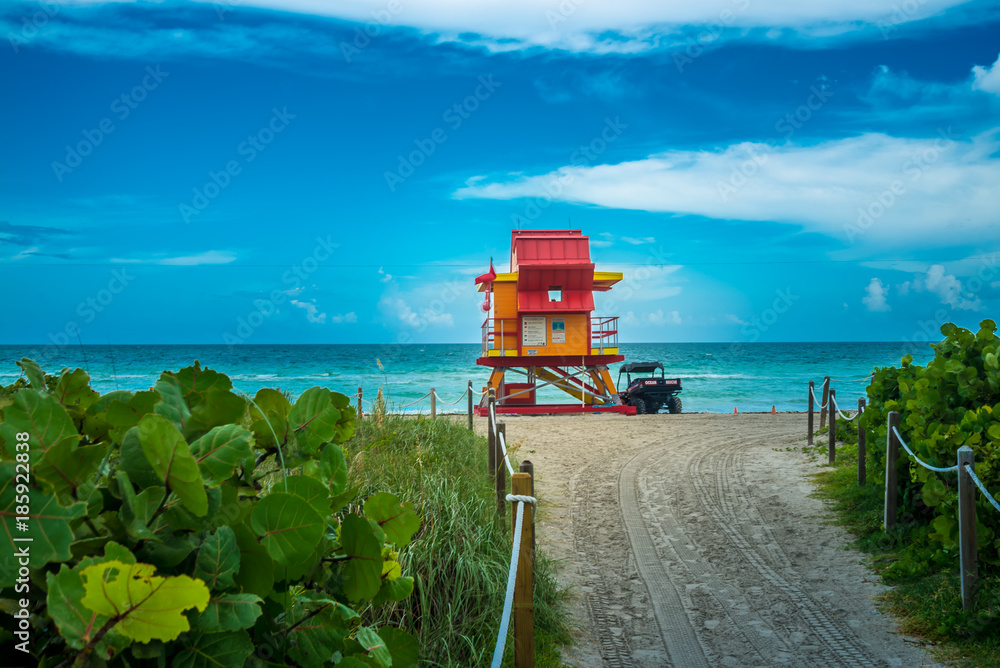 Fototapeta premium The Beach