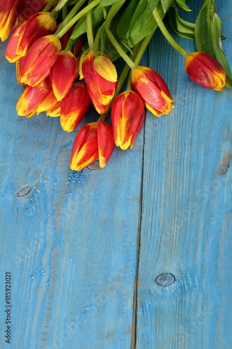 Tongue fresh tulips usually considered as innocence flowers and are an extremely pleasant surprise when we give them just without a chance.