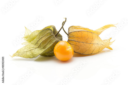 Physalis isolated on white background one orange berry. photo