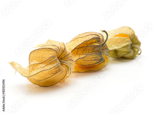 Three physalis in husk isolated on white background. photo