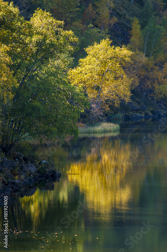 Fototapeta Naklejka Na Ścianę i Meble -  Fall Scene with Autumn Trees Reflection in Lake