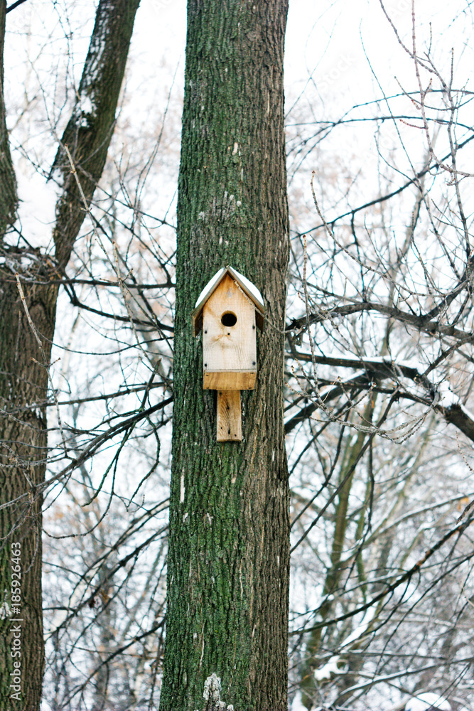 Birdhouse or nesting box on tree in a winter park.