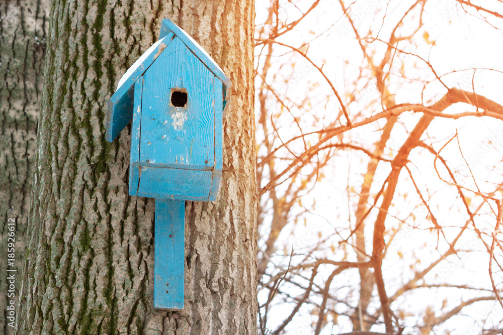 Birdhouse or nesting box on tree in a winter park.