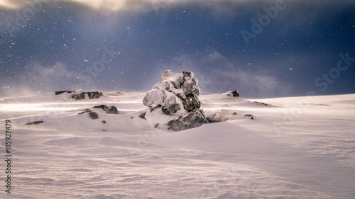 A rock covered by fresh snow. The sun is just breaking through and a strong wind is still blowing the snow flakes through the air.