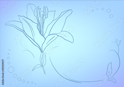 Blue mesh gradient background - vector tempate greeting card with lily
