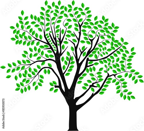 Naklejka grafika wektorowa drzewa na wiosnę