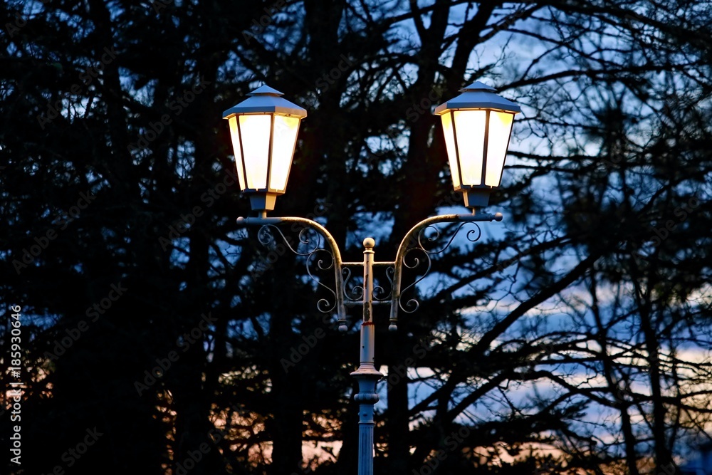 Twilight sky with two historical streetlamps lit with white light, blue and orange sunset sky and black silhouttes of trees in the background