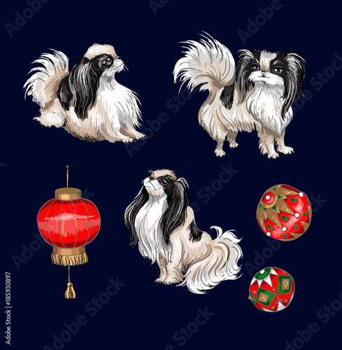 Set with chinese chinese dog and balls and a lantern