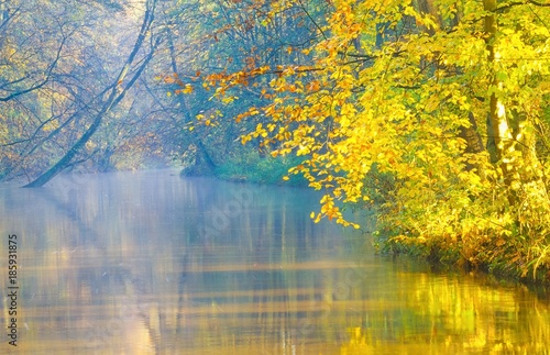 Blick über das Flüsschen Böhme im Herbst, Frühnebel, Wald, Niedersachsen, Deutschland, Europa © Carola Vahldiek