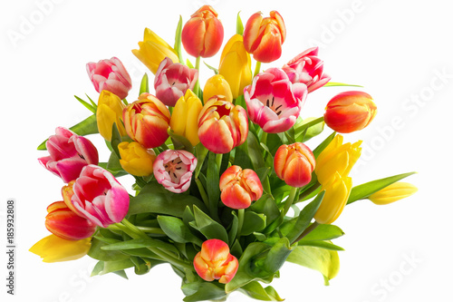 Fototapeta Naklejka Na Ścianę i Meble -  Strauß isoliert Tulpe mit gelb und rosa