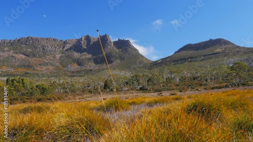 a slider shot of mt ossa and buttongrass plants on the overland track in cradle mountain national park, australia photo