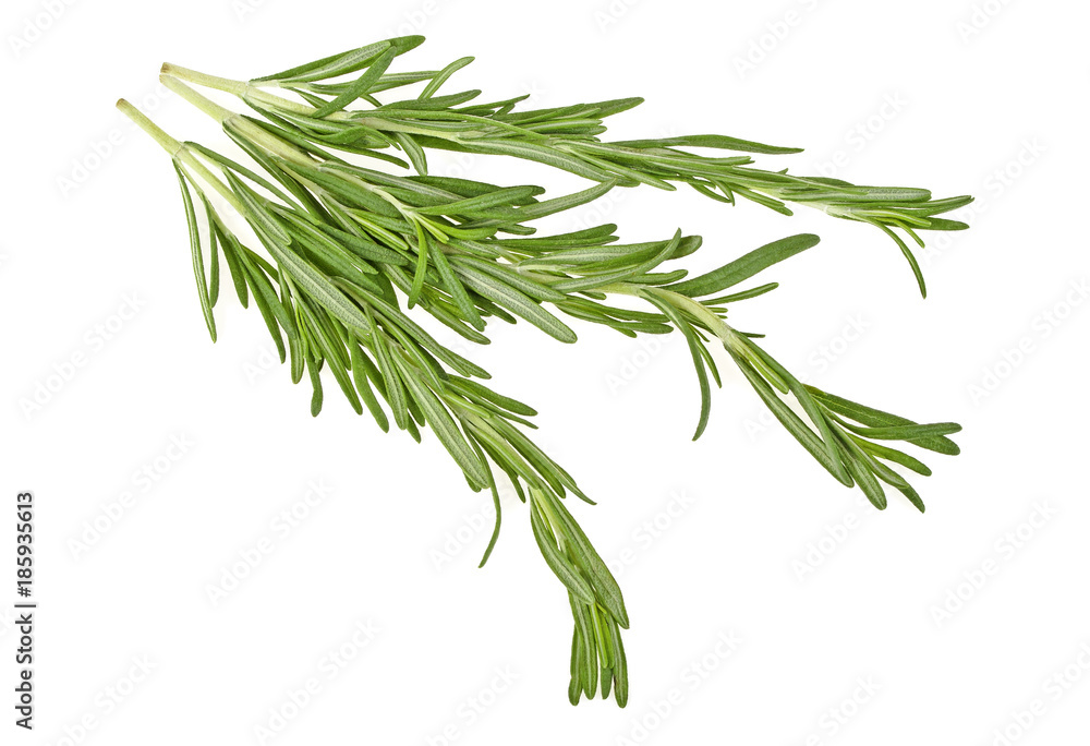 Fototapeta premium Rosemary sprigs isolated on a white background