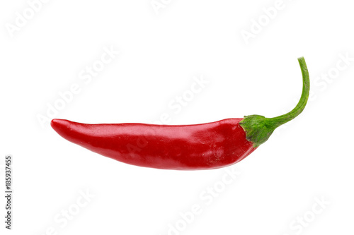 one ripe red hot spicy chili pepper