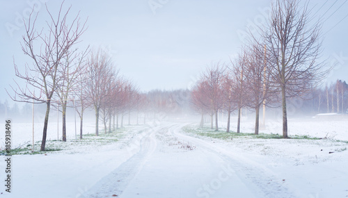 First snow in countryside. Fields covered in fog, icy roads and snow covered trees.