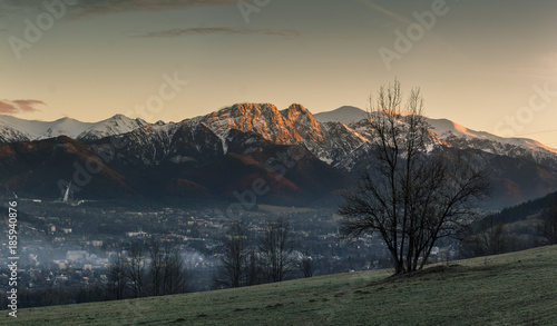 Fototapeta Naklejka Na Ścianę i Meble -  Mystical sunset over orange rocky mountains with a tree and snow. Tatra Mountains, Zakopane, Poland