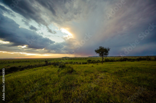 Serengeti Nights 2