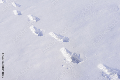 The footprints of the snow features