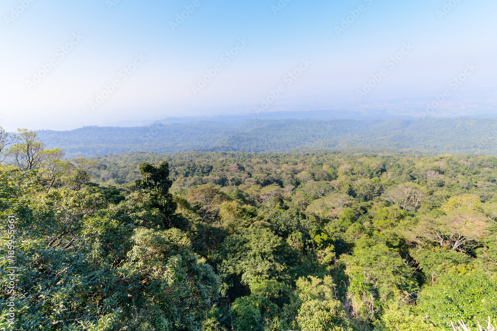 forest from viewpoint in Phu Hin Rong Kla National Park