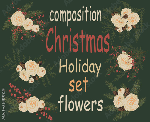 Christmas floral elements. Festive winter kit peony flowers, spruce branches, cones, berries and leaves. Decorative patterned bouquets for Christmas gifts, cards, posters, wrapping paper. Vector