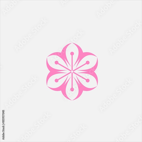 Cherry bloccoms