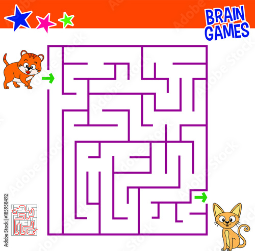 maze cat brain games