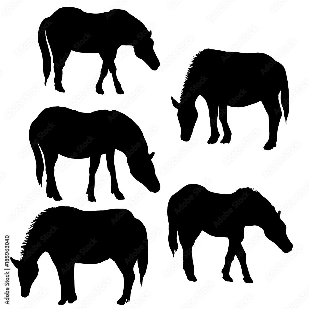 vector set of horses vector set of horses
