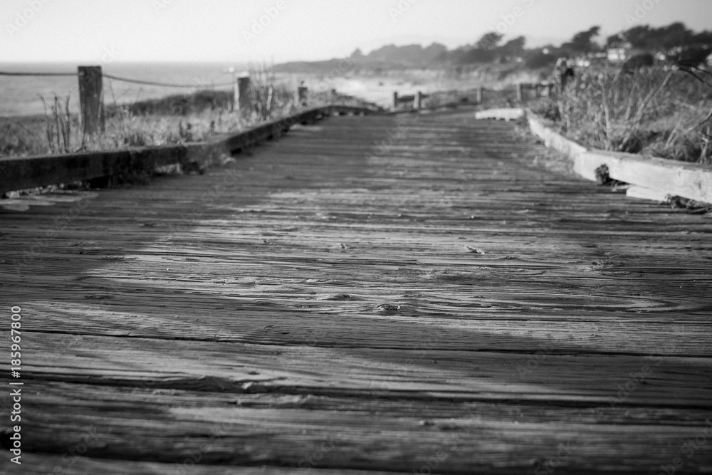 Obraz premium Coastal Sunset, Moonstone Beach