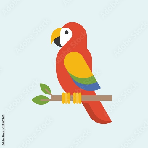 Macaw parrot vector, parrots, bird vector icon in flat style